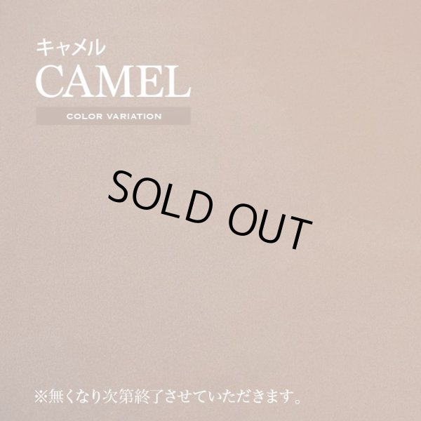 画像6: レザークラフト 床革 イタリア産 ヌメ カラー 牛革 タンニン革 ピット層 革細工 (6)