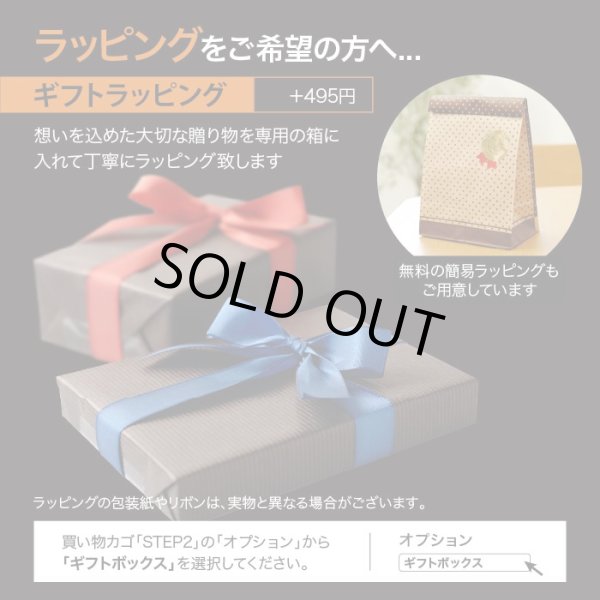 画像14: Kawasaki Z900RS Z650RS キーカバー キーケース (14)