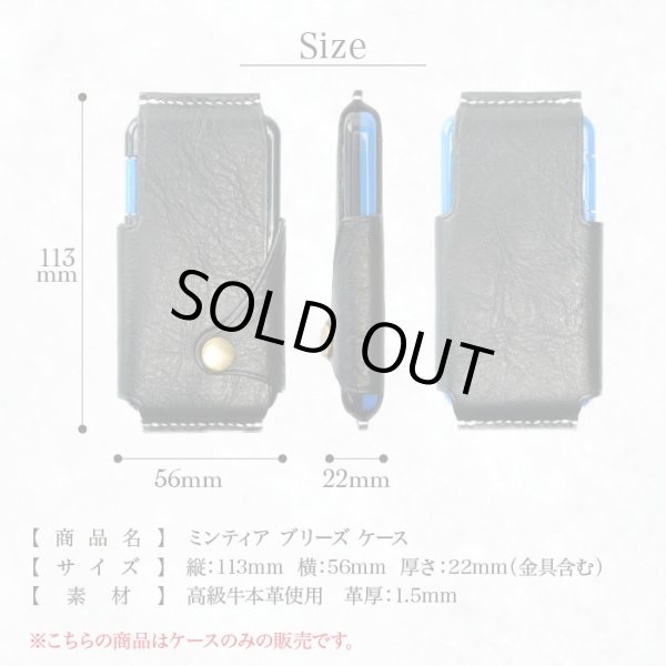 画像6: 本革 ミンティアブリーズケース (6)