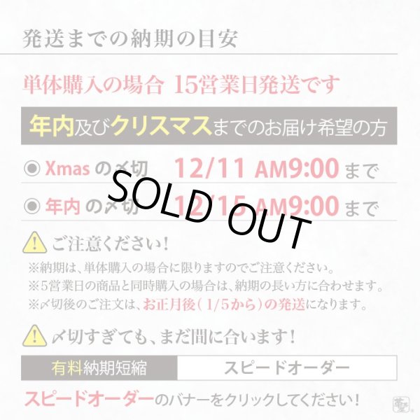 画像16: Kawasaki Z900RS Z650RS キーカバー キーケース (16)