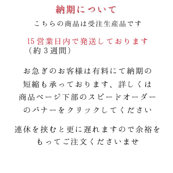 画像20: ポリッシュガレージコラボ企画 テスラ用キーフォブケース (20)