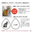 画像6: ペットをキーホルダーに ペットドロップキーホルダー (6)