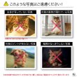 画像10: ペットをキーホルダーに ペットドロップキーホルダー (10)