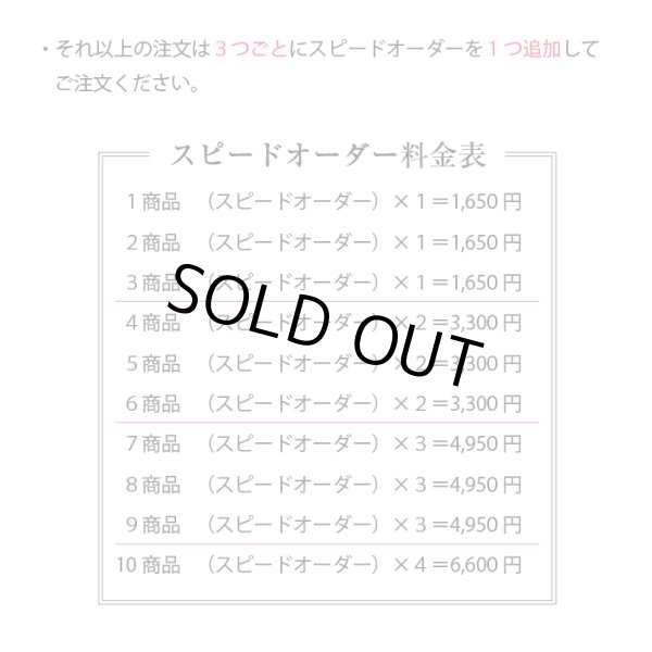 画像5: 有料納期短縮　スピードオーダー (5)