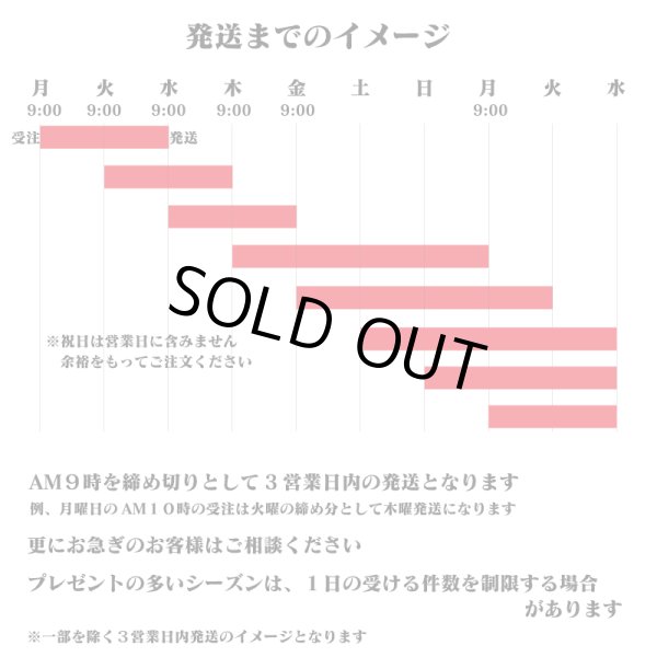 画像8: 有料納期短縮　スピードオーダー (8)